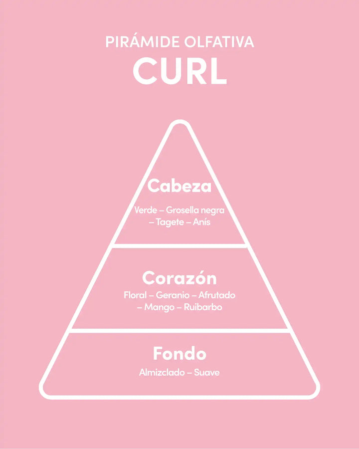 ly_curl_piramide_olfativa_1755722569.webp