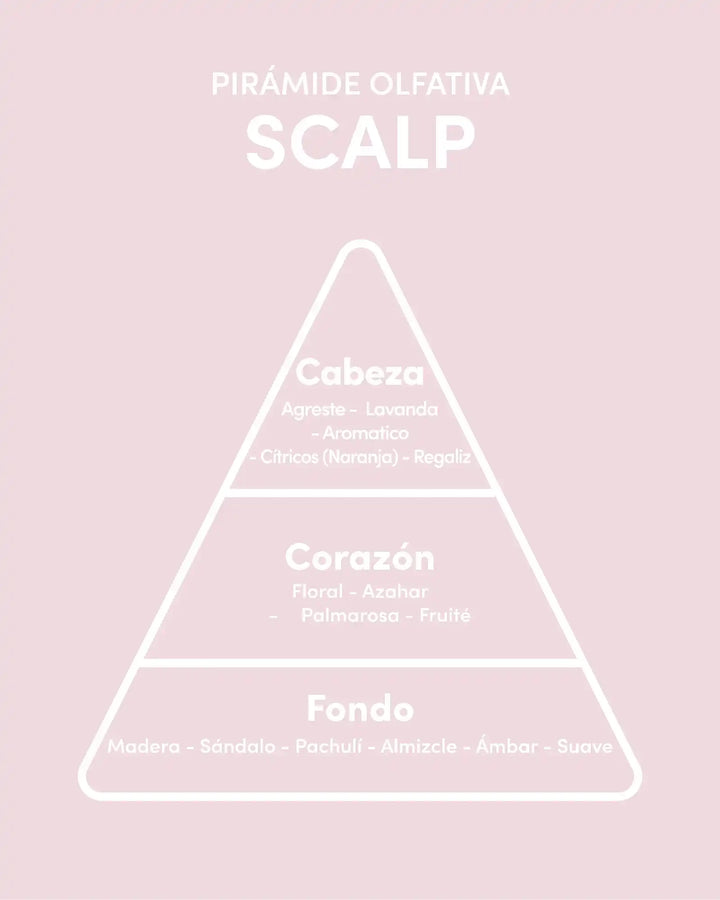 ly_duo-piramide-olfativa-scalp_1753957453.webp